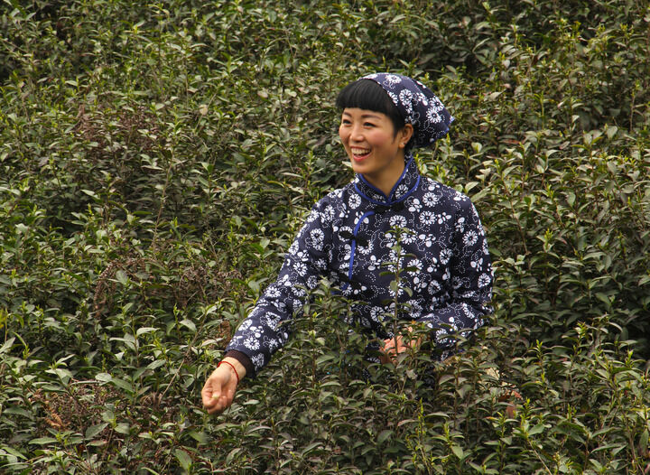 更新16